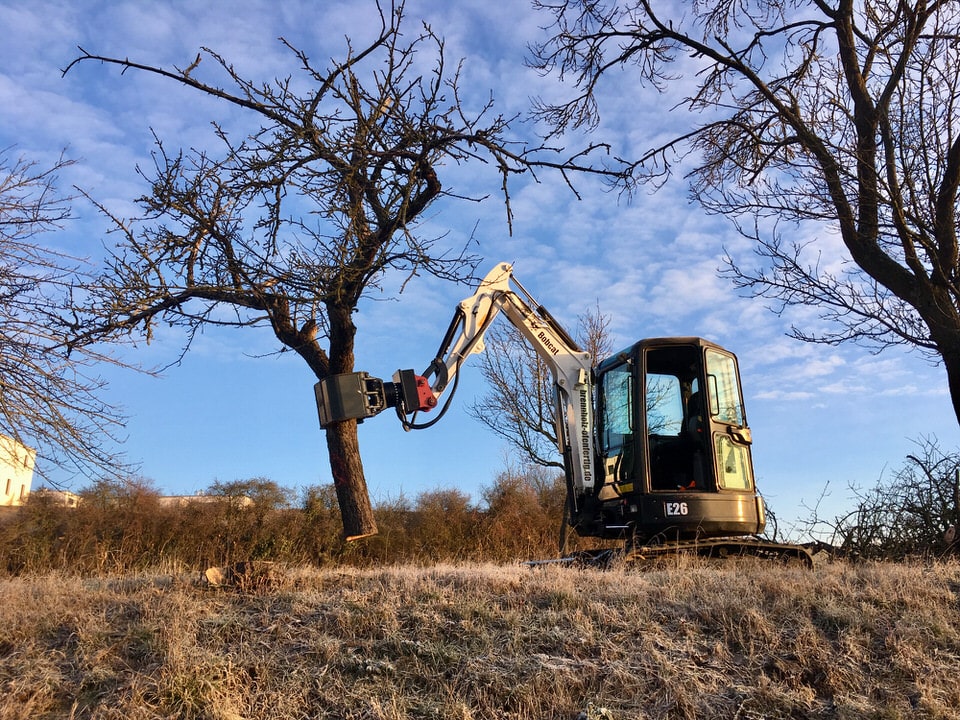 Baumfällungen Gärtringen