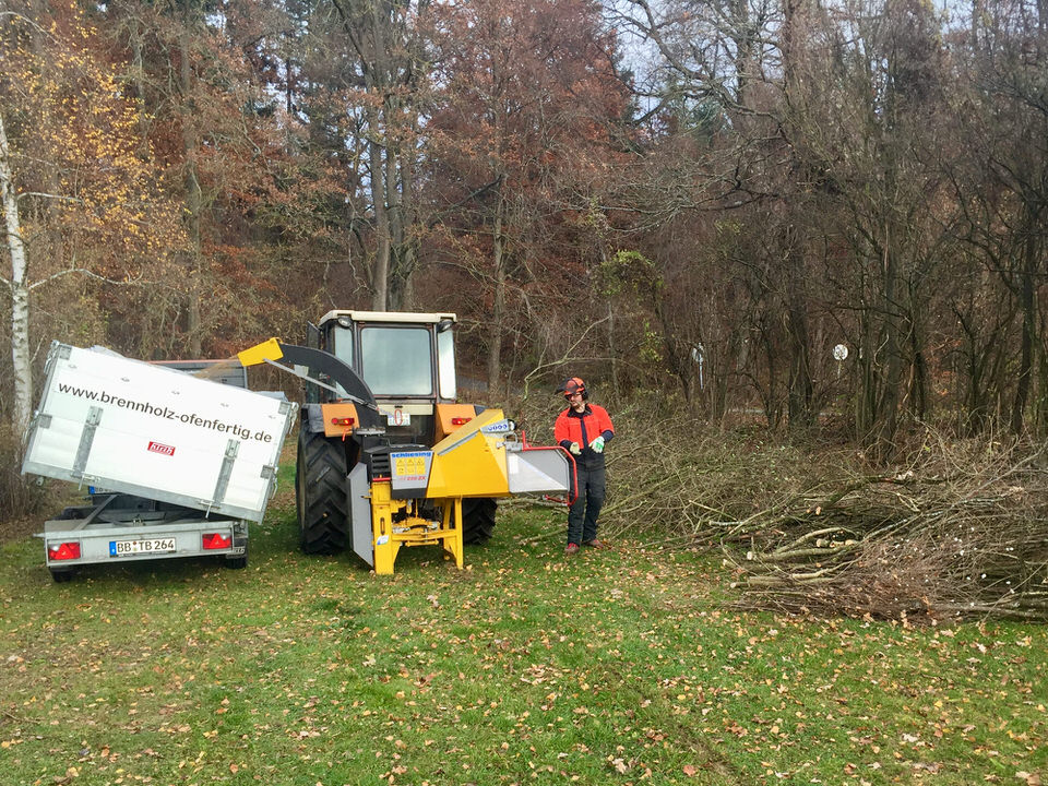 Brennholz Ofenfertig Aufbereitung